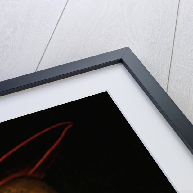 Portrait of a Woman, 1526 by Lucas the Elder Cranach