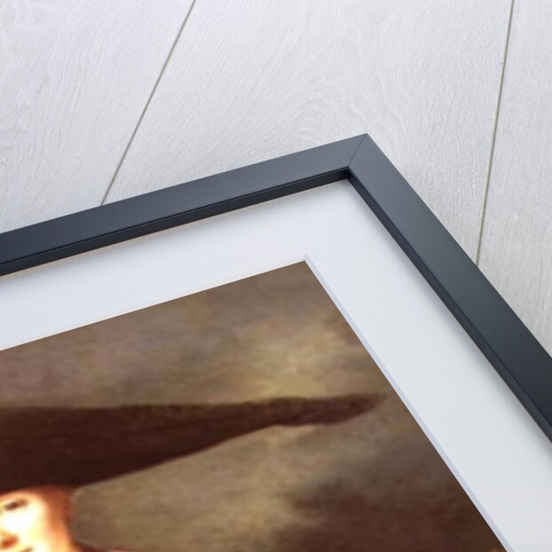 La Belle Strasbourgeoise, possibly the nuptial portrait of the artist's sister Marie-Elizabeth, 1703 by Nicolas de Largilliere