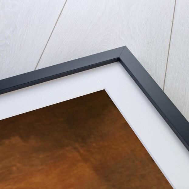 The Flagellants by Francisco Jose de Goya y Lucientes