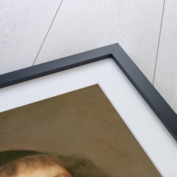 Counselor Tuboeuf, President of the Audit Chambers by Philippe de Champaigne