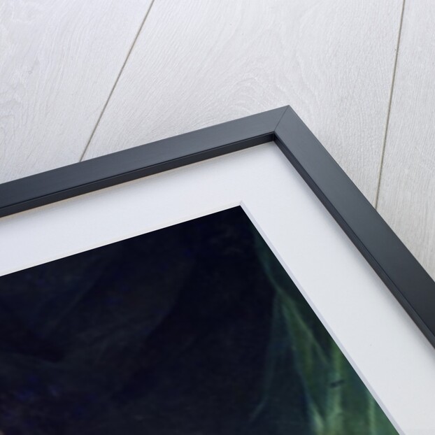 Full-length Portrait of Louis XVI, King of France and Navarre by Joseph Siffred Duplessis