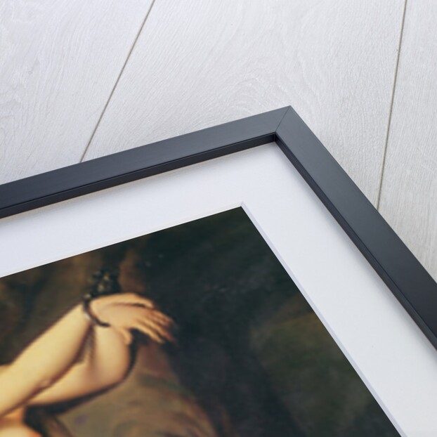 Angelica by Jean Auguste Dominique Ingres