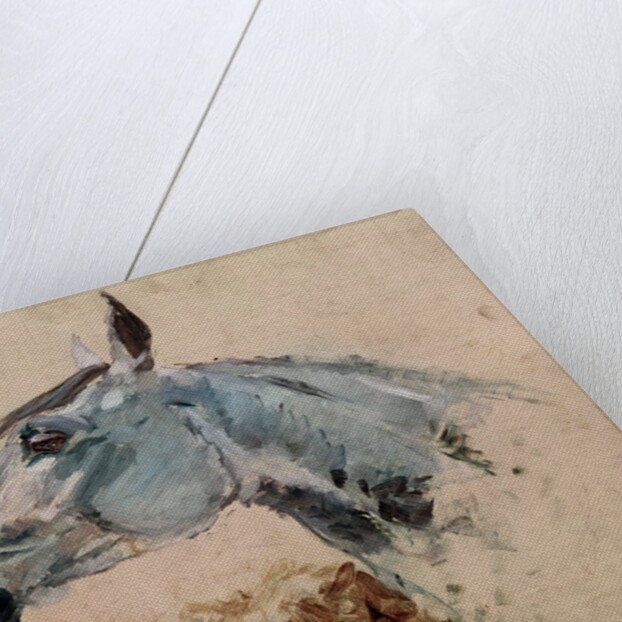 White Horse 'Gazelle', 1881 by Henri de Toulouse-Lautrec