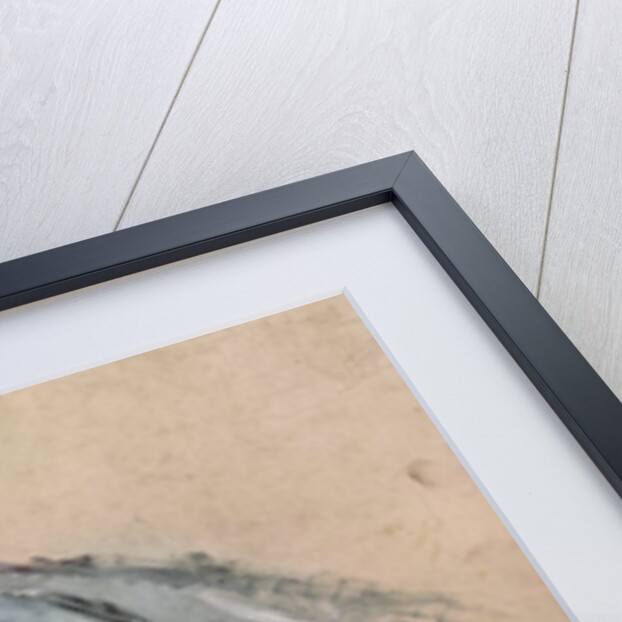 White Horse 'Gazelle', 1881 by Henri de Toulouse-Lautrec