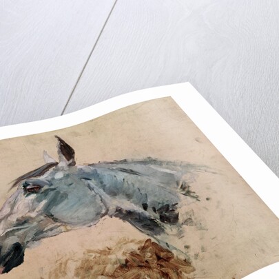White Horse 'Gazelle', 1881 by Henri de Toulouse-Lautrec