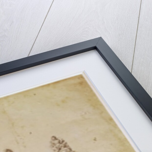 Proposal for the Arc de Triumphe, rue Saint-Antoine, Paris, c.1668 by Charles Le Brun