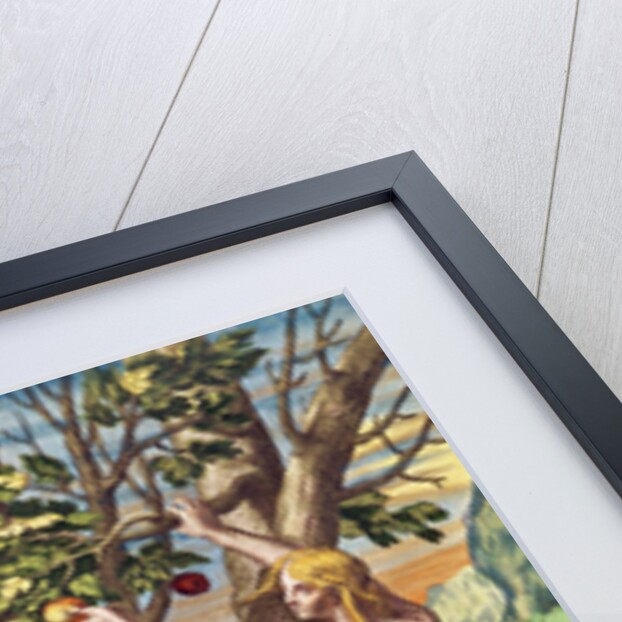 Admiranta Narratio.... Adam and Eve, 1585-1588 by Theodor de Bry