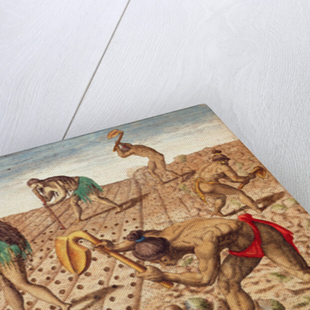 Brevis Narratio, Culture and Sowing Seeds, 1563 by Theodor de Bry