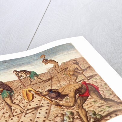 Brevis Narratio, Culture and Sowing Seeds, 1563 by Theodor de Bry