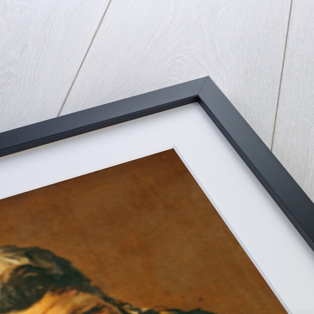 Malle Bobbe, the Witch of Haarlem by Frans (after) Hals