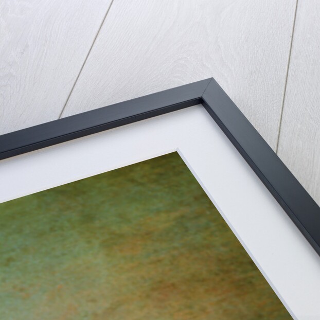 The Faux Pas, c.1717 by Jean Antoine Watteau