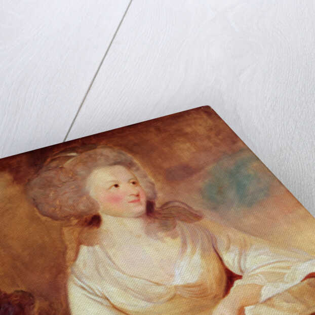 Louise Marie Adélaide of Bourbon-Penthièvre, Duchess of Orléans by Joshua Reynolds