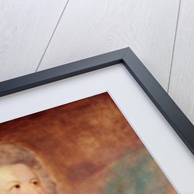 Louise Marie Adélaide of Bourbon-Penthièvre, Duchess of Orléans by Joshua Reynolds