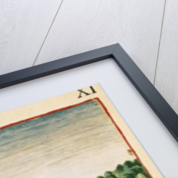 A Magician from Virginia by Theodore de after White John Bry