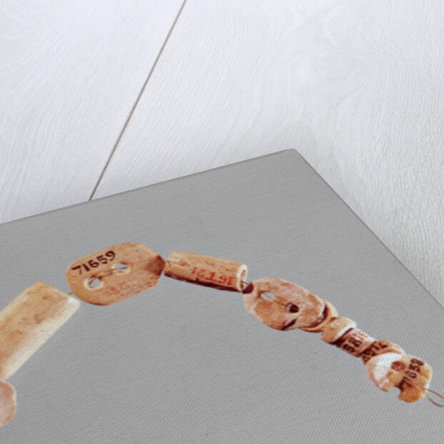 Necklace or bracelet, Seine-Oise-Marne Culture, 2800-2000 BC by Neolithic Neolithic