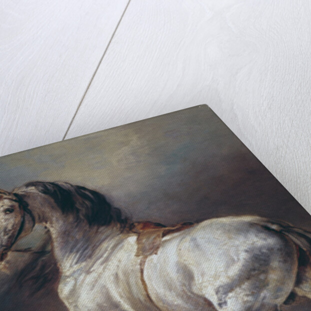 A Study of a Horse by Theodore Gericault