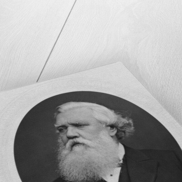 Portrait of Henry Layard, c.1880 by French Photographer