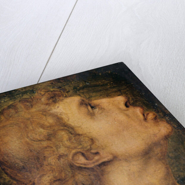 Saint John the Evangelist by Sebastiano del Piombo