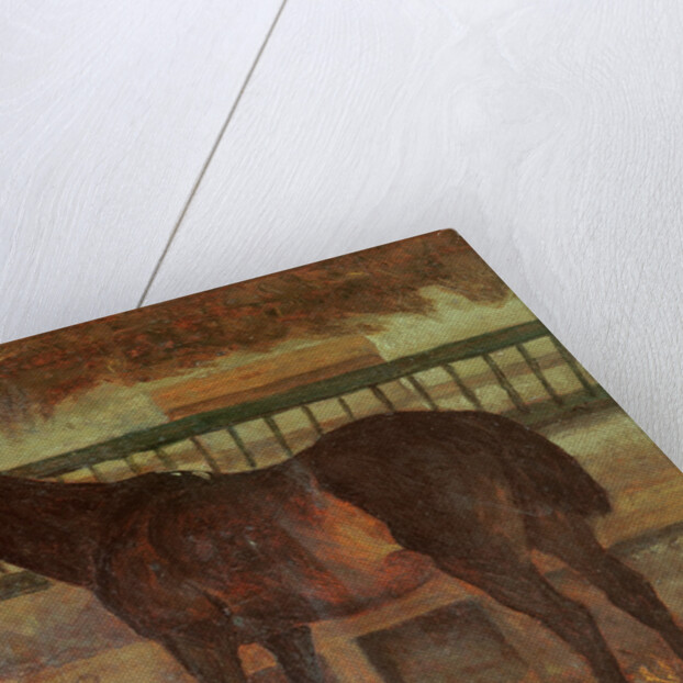 A Stud from the Town of Saintes, 1863 by Gustave Courbet