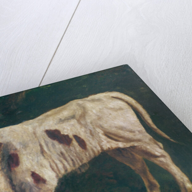 A Calf by Gustave Courbet