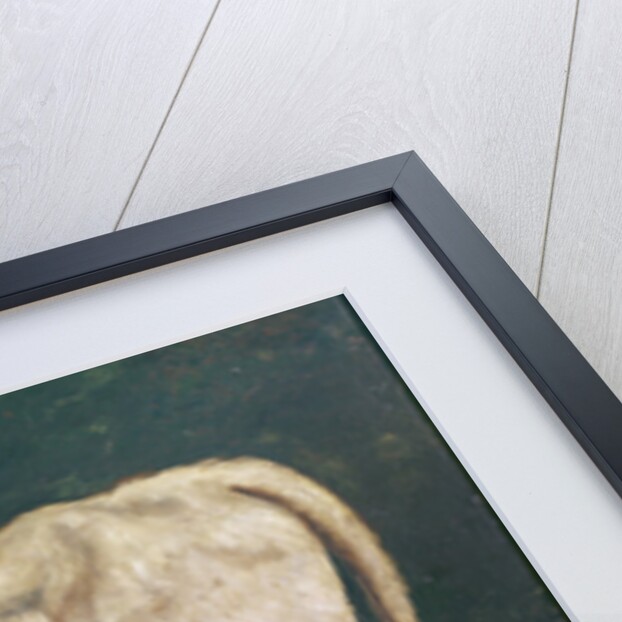 A Calf by Gustave Courbet