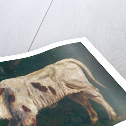 A Calf by Gustave Courbet