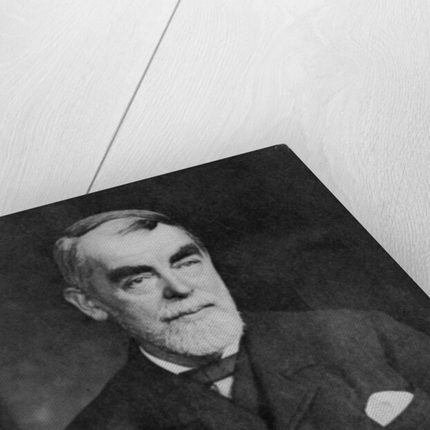 Portrait of Samuel Butler, c.1880-90 by English Photographer