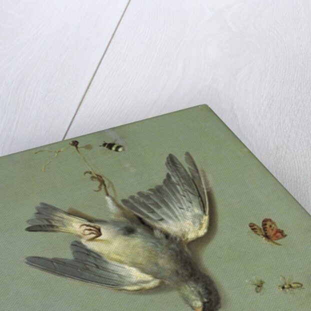 Still Life With Birds and Insects, 1713 by Jean-Baptiste Oudry