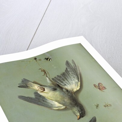 Still Life With Birds and Insects, 1713 by Jean-Baptiste Oudry