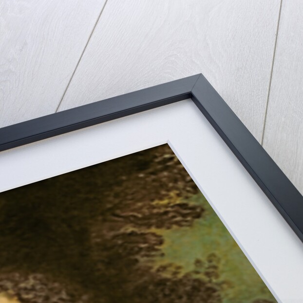 Portrait of a Gentleman, or Portrait of Jean de Julienne by Jean Antoine Watteau