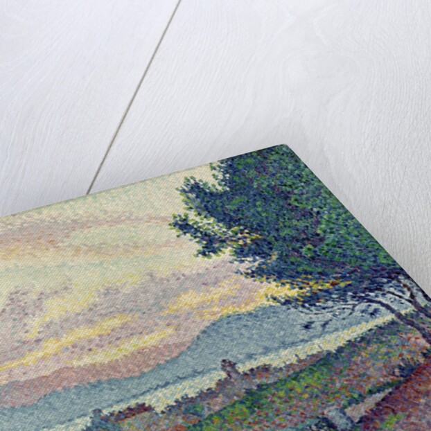 St. Tropez, Pinewood, 1896 by Paul Signac