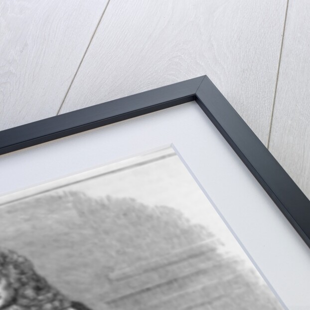 William II, Prince of Orange engraved by W. Thomas by English School