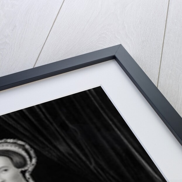 Portrait of Elizabeth I when Princess c.1546 by Flemish School