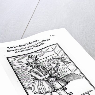 A Falconer with his Goshawk by English School