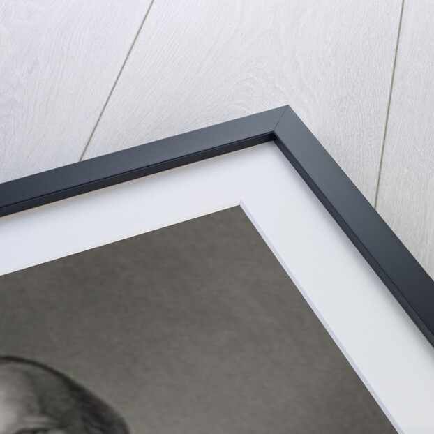 Portrait of Giuseppe Garibaldi by William the Younger Holl