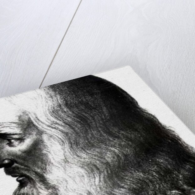 Portrait of Leonardo da Vinci by Italian School