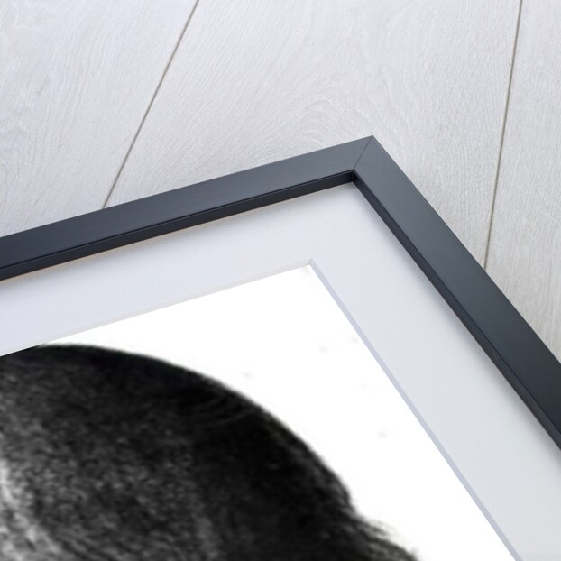 Portrait of Leonardo da Vinci by Italian School