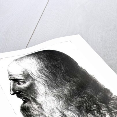 Portrait of Leonardo da Vinci by Italian School