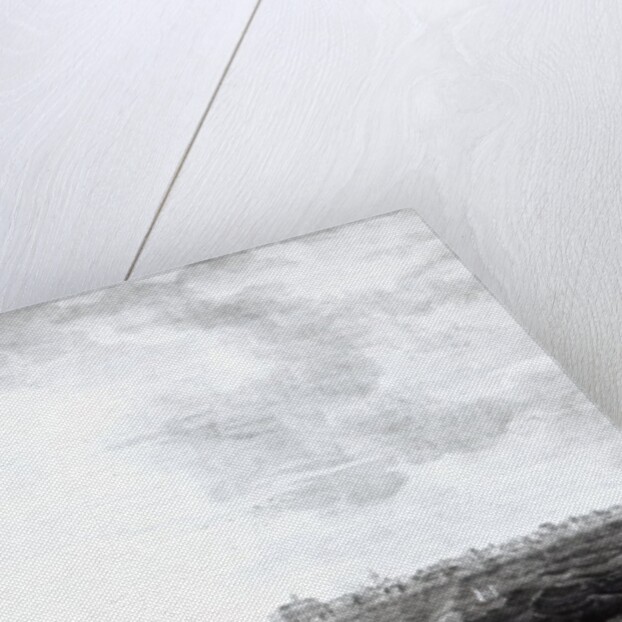 A View of Charles-Town, the Capital of South Carolina by Thomas Seitch