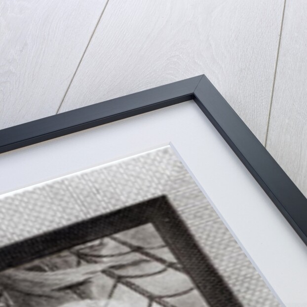 John Paul Jones, Commodore in the Service of the United States of America by Claude Jacques Notte