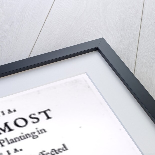 Nova Britannia. Offring Most Excellent Fruites by Planting in Virginia, 1609 by English School