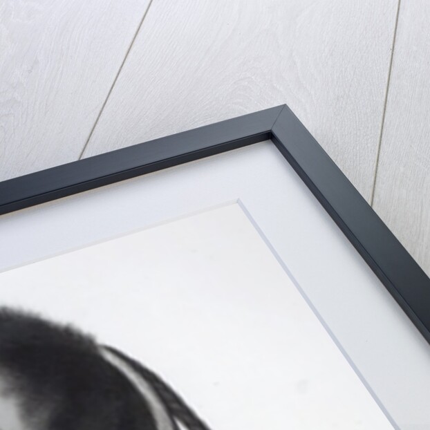 Le Soldat du Chene, an Osage Chief by American School