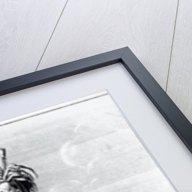 Iroquois Man, inhabitant of Canada by Teodoro Viero