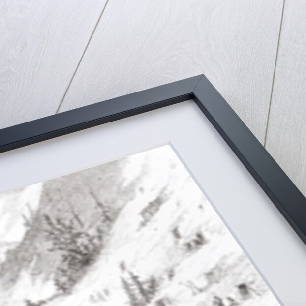 Gold and Silver Mining, Colorado - A Honey-Combed Mountain by American School