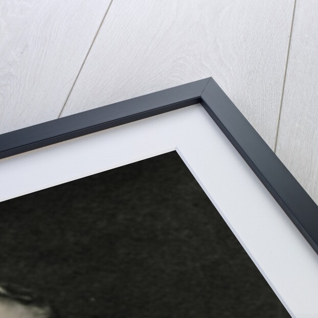 Joseph Chamberlain by English Photographer