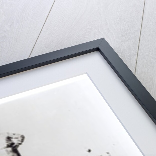 Colonel Roosevelt and Colonel Rondon at Navaite on the River of Doubt by Anonymous