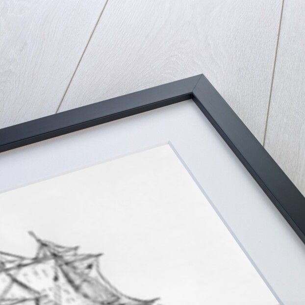 The Sea Serpent by English School