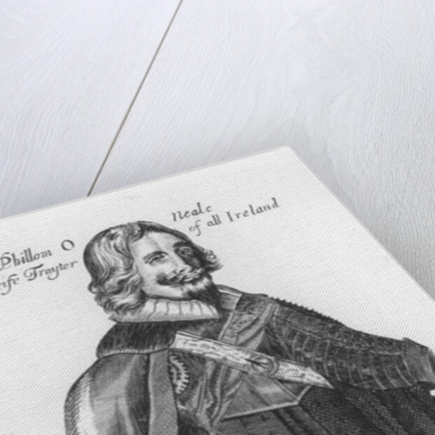 Portrait of Sir Phillom O'Neale by English School