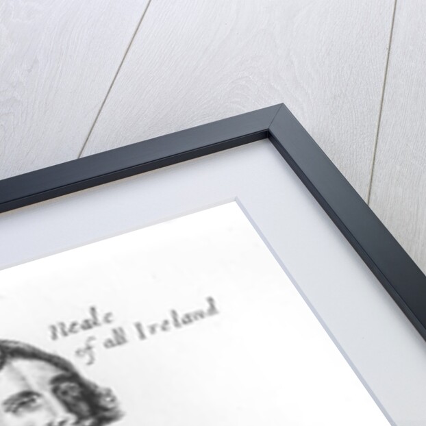 Portrait of Sir Phillom O'Neale by English School