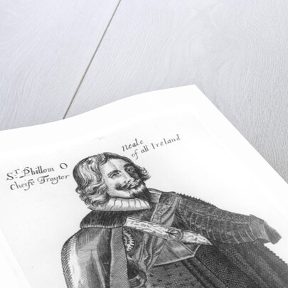 Portrait of Sir Phillom O'Neale by English School